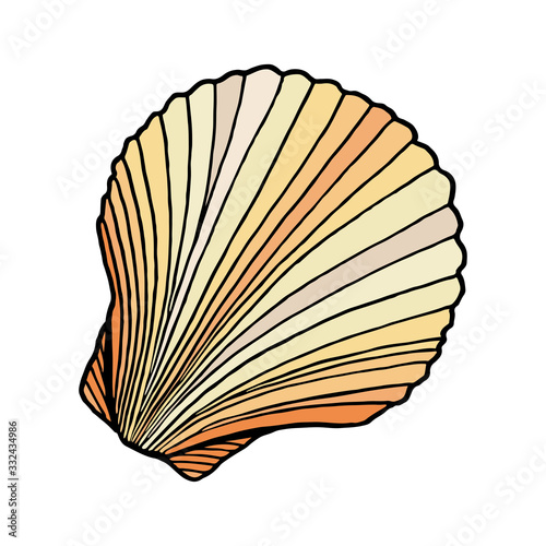 Beige colored seashell. Hand drawn vector illustration of underwater scallop shell. Nautical element isolated on white background for cards, logo, decoration, print