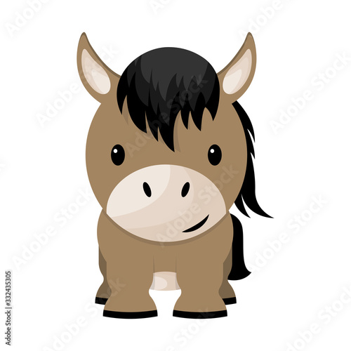 Cartoon cute little horse, vector illustration