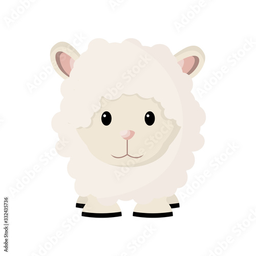 Cartoon cute baby sheep. vector illustration