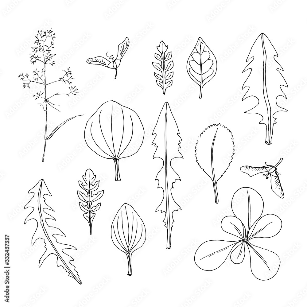 Doodle leaves. Simple organic shapes collection. Hand drawn design elements. Vector illustration Doodle leaves. Simple organic shapes collection. Hand drawn design elements. Vector illustration