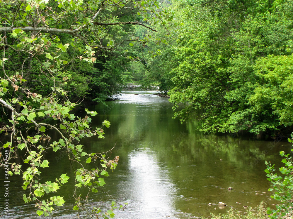 Naklejka premium Quiet River in Summer