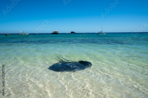 Hamelin Bay Beach