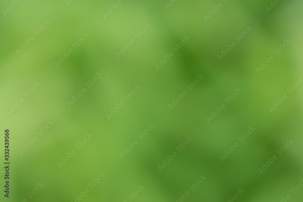 Green background obtained from image blurring techniques Green background obtained from image blurring techniques