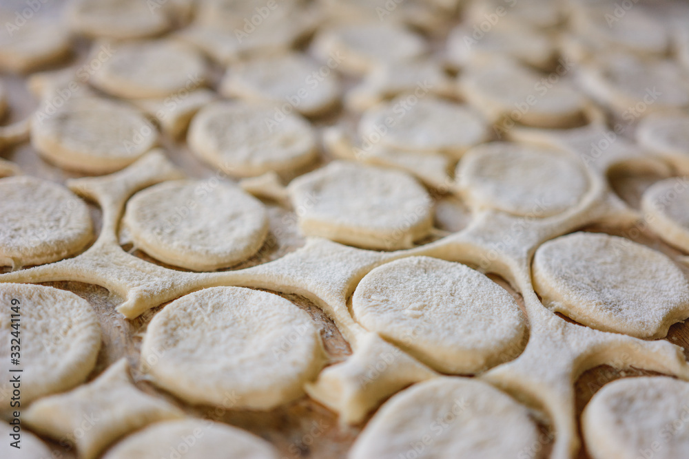 Rolled dough with sliced circles for dumplings, texture. Rolled dough with sliced circles for dumplings, texture.