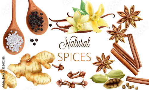 Natural spices composition with salt, black pepper, ginger, cinnamon sticks and vanilla