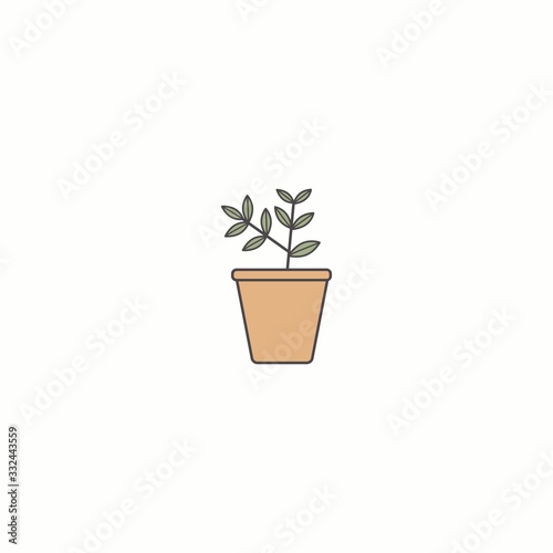 Domestic home Plant in flower Pot. Minimalistic floral Icon. Flower Shop Logo template. Cartoon style, simple flat design. Trendy Vector illustration. Isolated on a white background