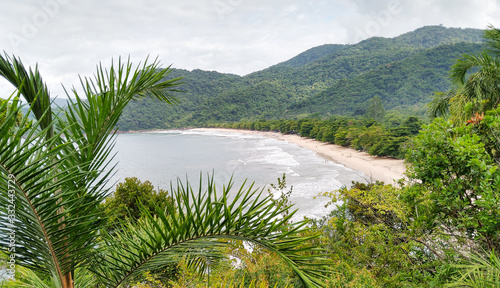 beach in the jungle