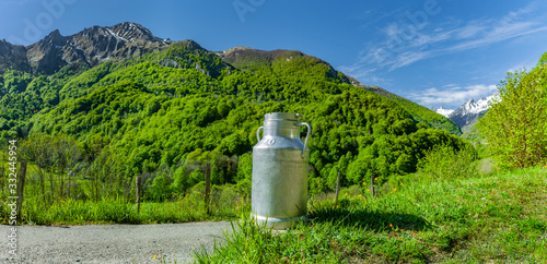 Milchkanne in einer Bergwiese im Gebirge