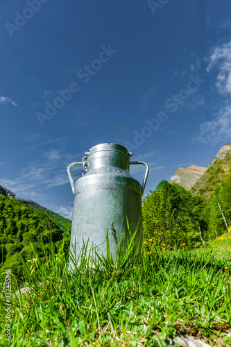 Milchkanne in einer Bergwiese im Gebirge