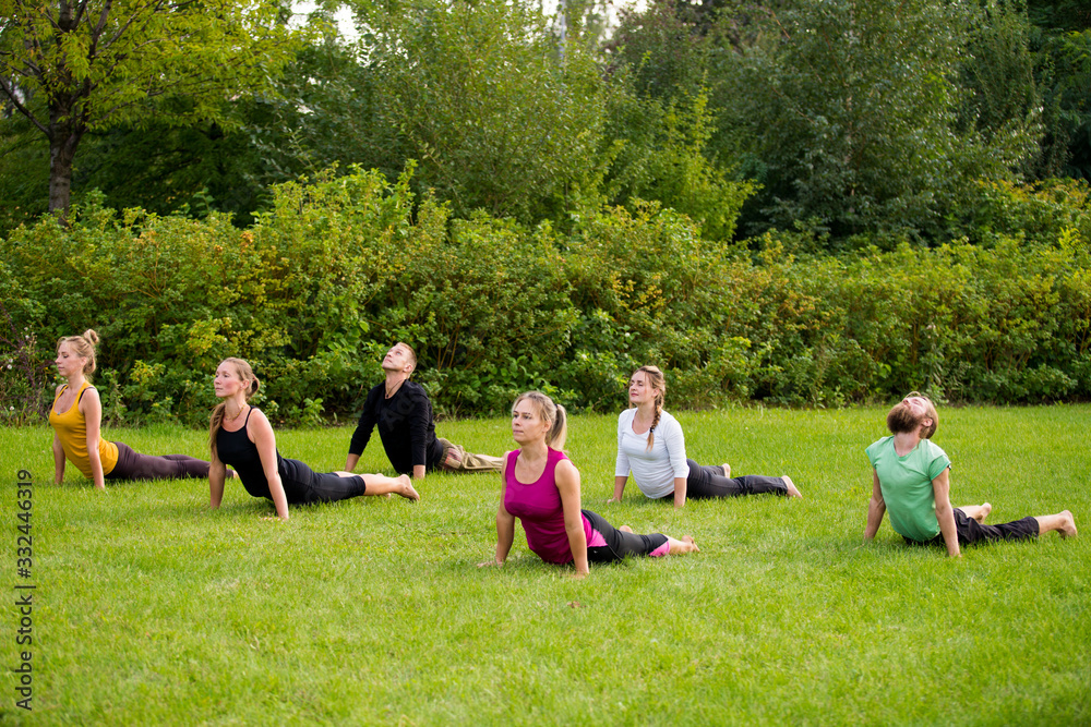 A group of yogis on the lawn in a dog standing face up