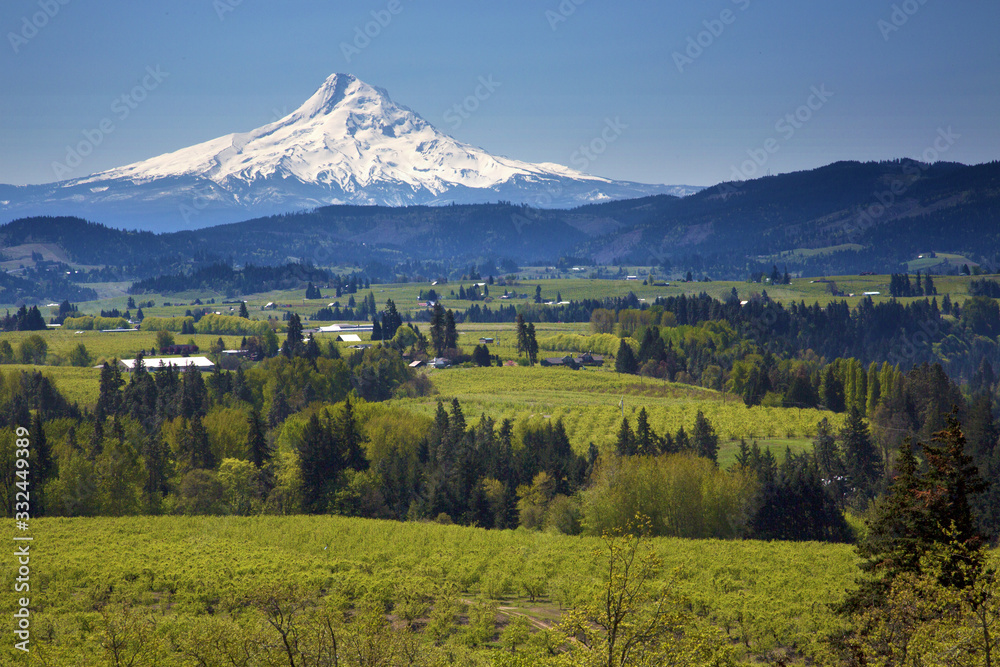 Naklejka premium Mt Hood from Parkdale, Oregon