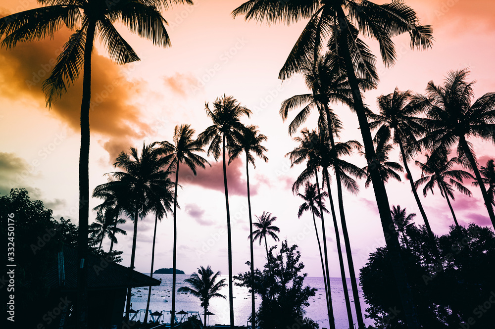 Obraz premium Silhouette tropical palm tree with sun light on sunset sky. Summer vacation and nature travel adventure concept. Coconut palm trees against colorful sunset