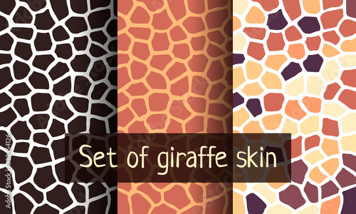 Set of pattern giraffe skin. animal trend