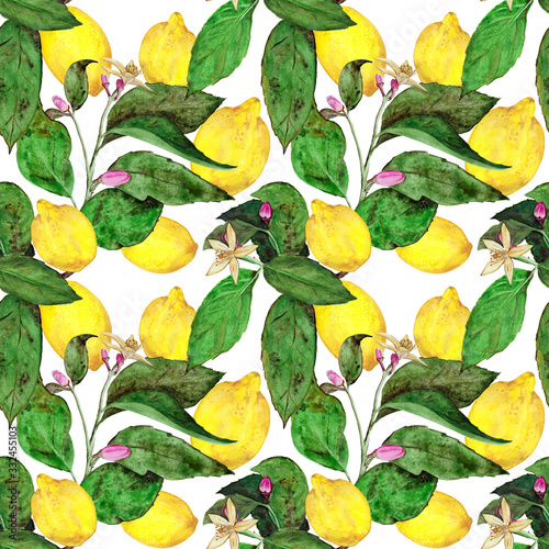 Hand-drawn watercolor lemon tree branch and lemon fruit seamless pattern on white background. Green fruits, leaves and flowers of citrus tree endless print for your design. Cute wallpaper.