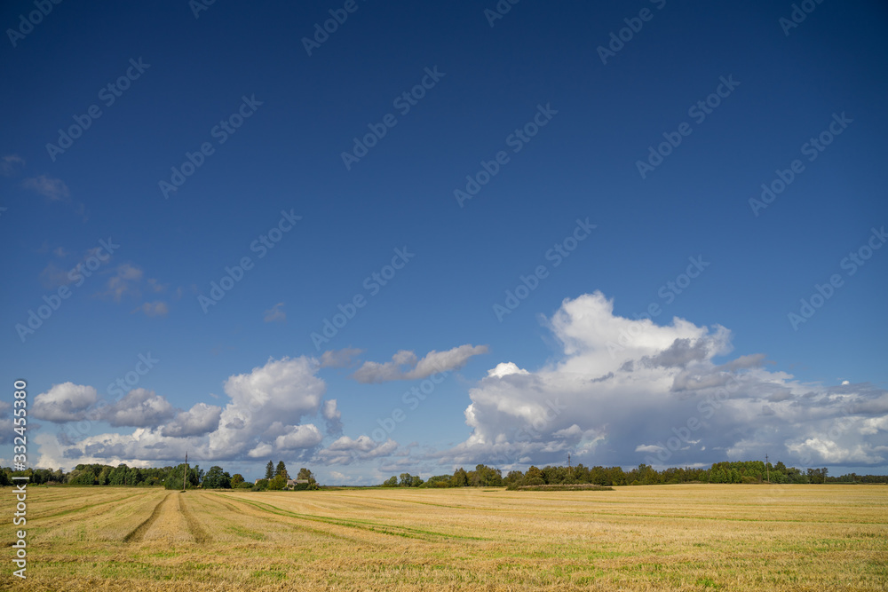 agricultural, agriculture, autumn, background, beautiful, beauty, blue, clear, cloud, clouds, cloudscape, cloudy, corn, country, countryside, crop, dramatic, environment, farm, farming, farmland, fiel