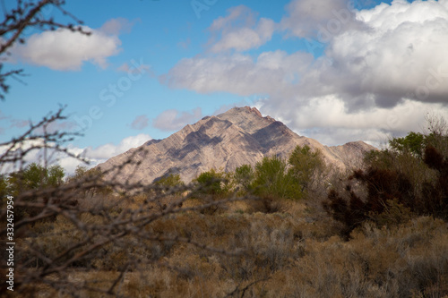 Frenchman Mountain appears in the distance of a Las Vegas wetlands area