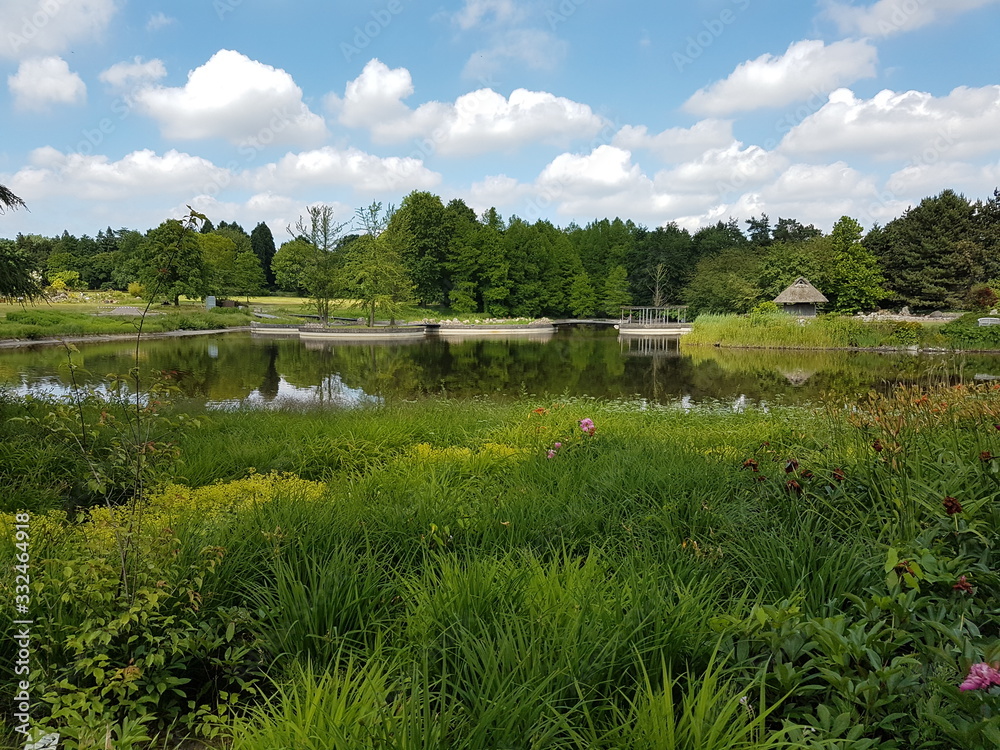 Fototapeta premium Hamburg Loki Schmidt Garten