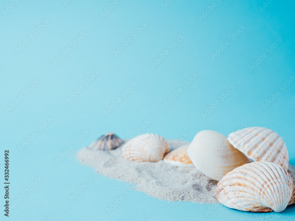 sand and sea shells isolated on blue, summer concept sand and sea shells isolated on blue, summer concept