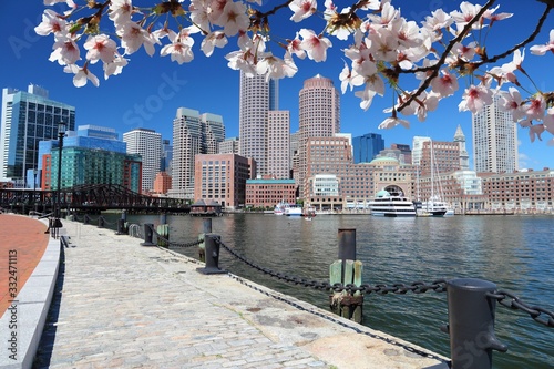 Boston skyline - spring time cherry blossoms