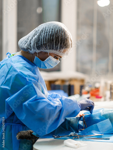 Surgery to remove a uterine tumor in a cat. Surgery in veterinary medicine. Applying clamps and sutures to the neurovascular bundle photo