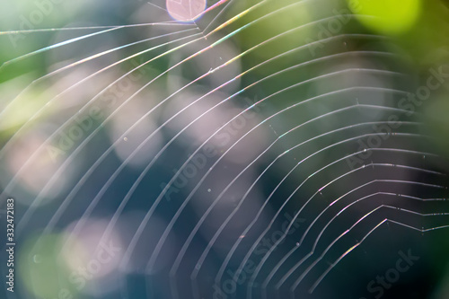 Spider web threads close up