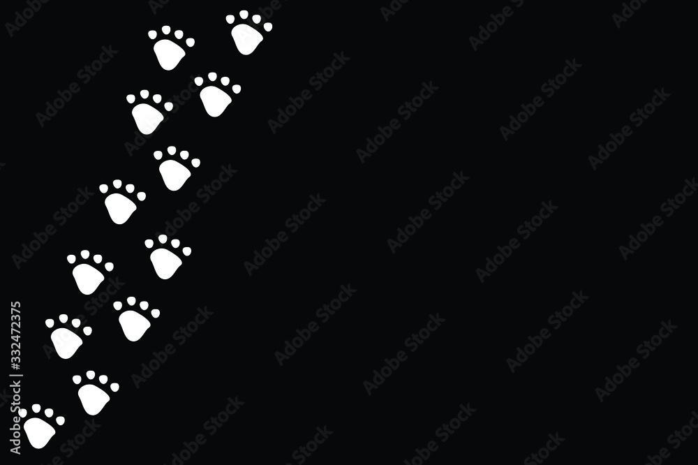 White dog or cat pet footprint tracks on black panorama background. Animal and pet concept.