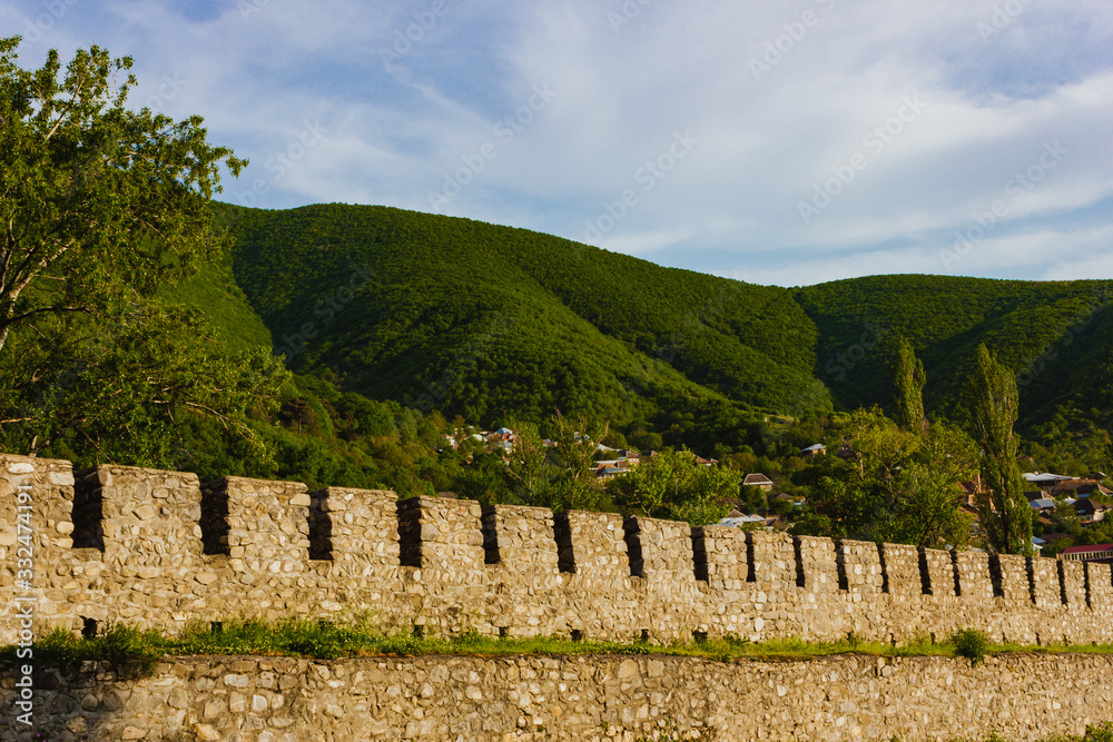 Fototapeta premium vineyard in tuscany