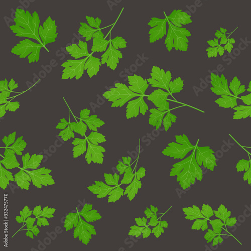 Fresh green parsley leaves on dark background. Parsley isolated. Vector illustration. Seamless pattern.