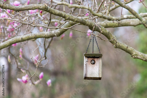 Bird in a birdhouse © TRBeattie