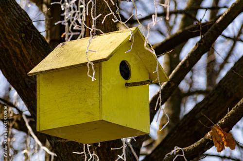 A wooden birdhouse, built with your own hands and painted with colored paint, hangs attached to a tree without leaves. Spring training for settling and breeding birds in a house with a round window