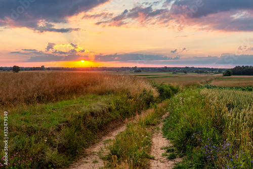 Beautiul summer sunset over fields © Piotr Krzeslak