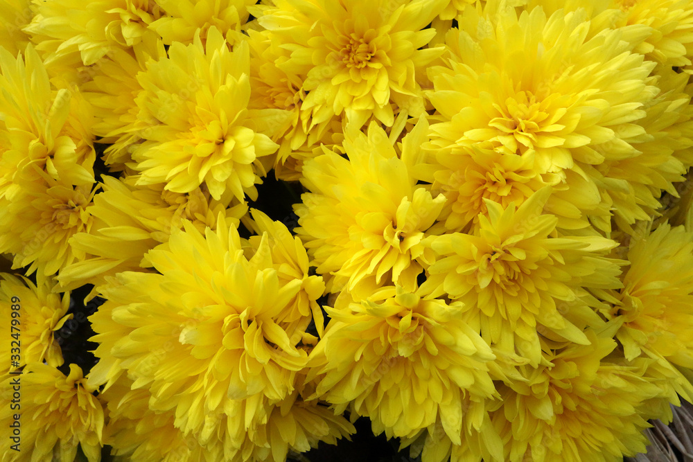 Obraz premium Blooming flowers in a bouquet