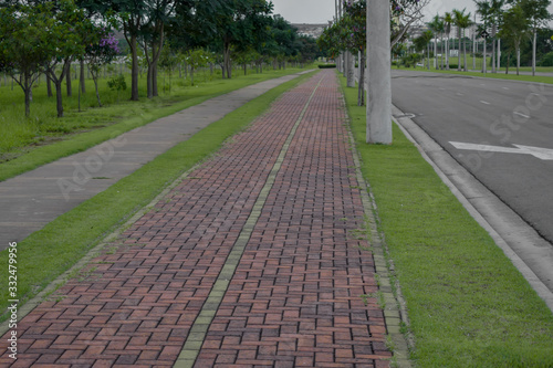 Fototapeta Naklejka Na Ścianę i Meble -  Calçada de parque com piso intertravado de concreto vermelho	