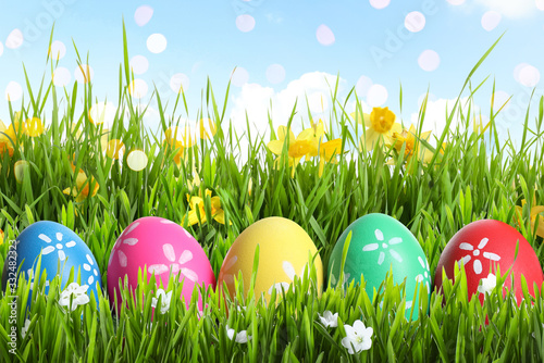 Colorful Easter eggs and daffodil flowers in green grass against blue sky