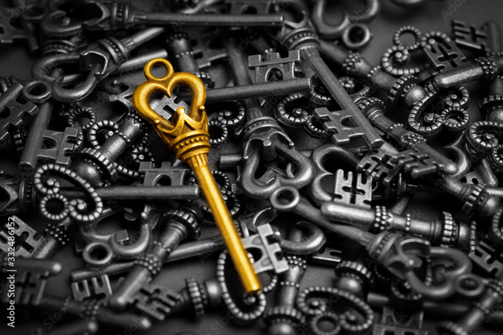 Metal key for online successful business concept Metal key for online successful business concept
