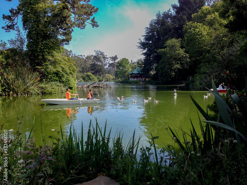 Obraz na płótnie Park w salonie