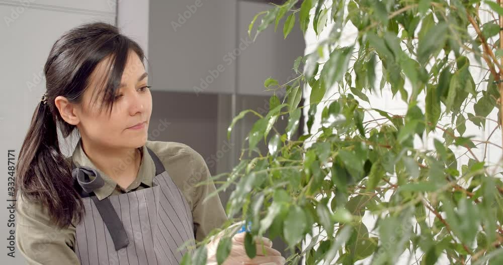 Young woman spraying a potted flower with water. Happy adult housewife lady taking care of houseplant cultivation at home. Gardening concept. Young woman spraying a potted flower with water. Happy adult housewife lady taking care of houseplant cultivation at home. Gardening concept.
