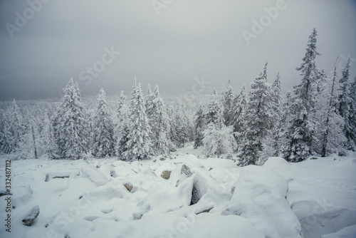 Winter forest of Southern Ural © Kirill
