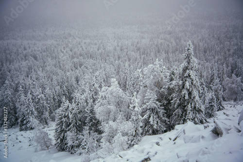 Winter forest of Southern Ural