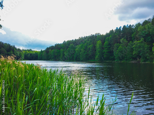 Beloe Lake in the forest, Ozery agro-town, Grodno, Belarus photo