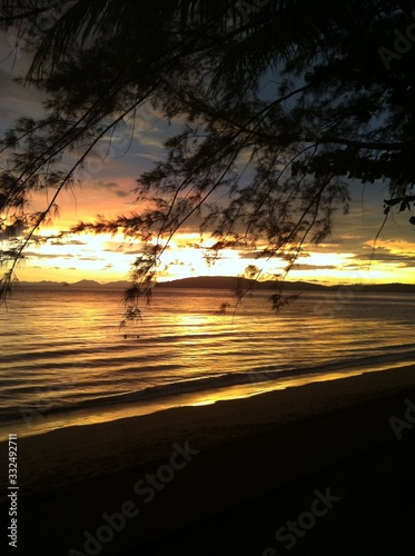 Sunset tree
