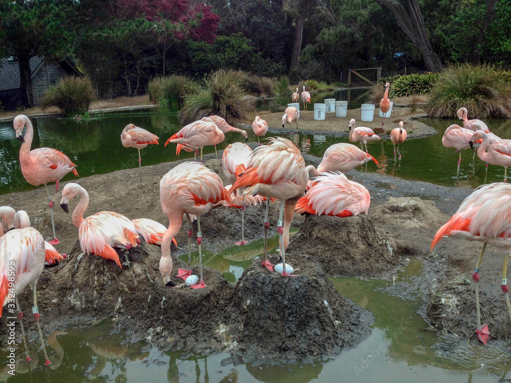 zoo