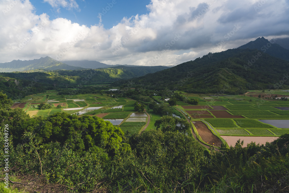 panorama of view mountains and fields in Kauai, Hawaii with lush green landscape