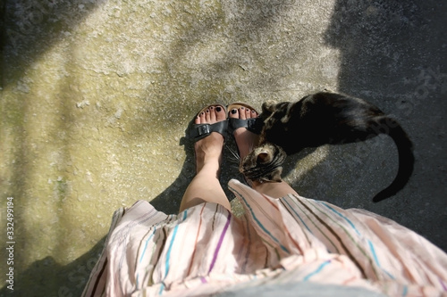 Brown tabby cat cuddling with unrecognizable person in sandals and colorful skirt. Selective focus.  photo