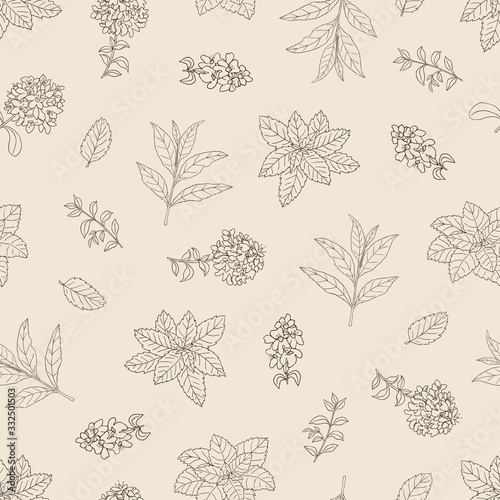 Vector hand draw seamless pattern with different tea herbs and seasonings ona light background