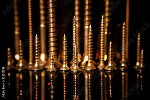 Arranged group of shiny golden screws with mirroring itself and black background.