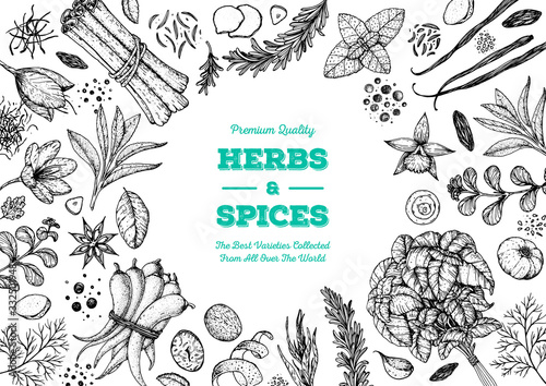 Herbs and spices hand drawn vector illustration. Aromatic plants. Hand drawn food sketch. Vintage illustration. Card design. Sketch style. Spice and herbs black and white design.