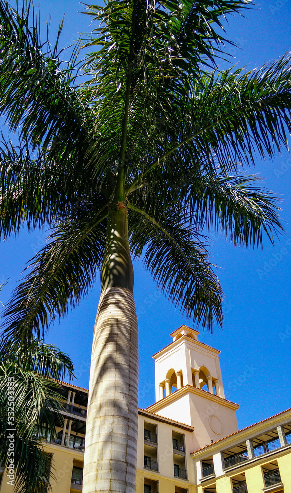Hotel tower with palm tree and blue sky