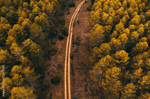 Drone aerial top view of scenic landscape of rural road motorway through forest in countryside photo