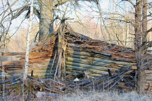 dead log house